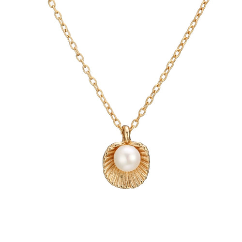 Rose Golden Shell Necklace